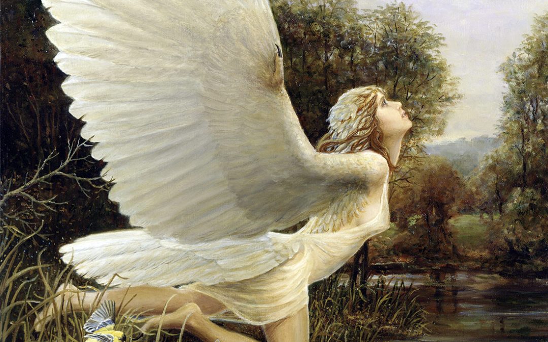 I Caught A Fleeting Glimpse