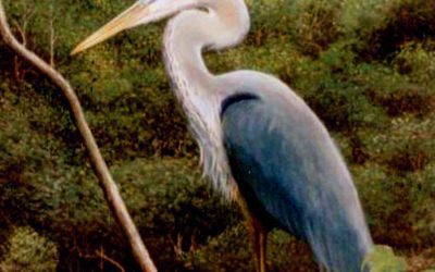 Where’s the Heron Painting?