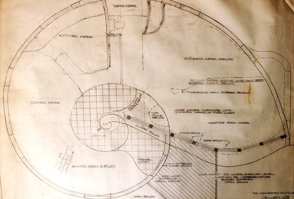 More Nautilus Discoveries