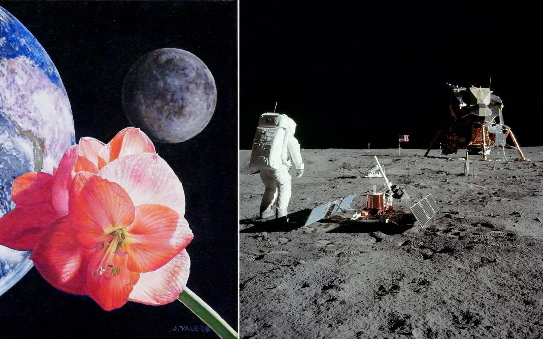 Amaryllis Moon