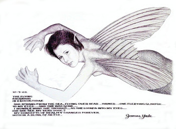 The Flying Mermaid of Exocodtidae