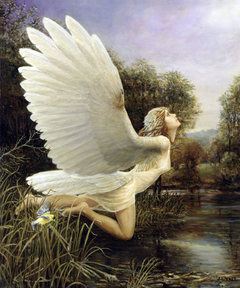 I Caught a Fleeting Glimpse