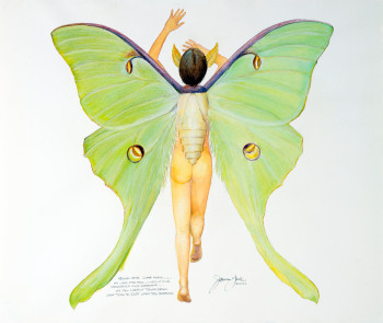 Dream of the Luna Moth - Number Four